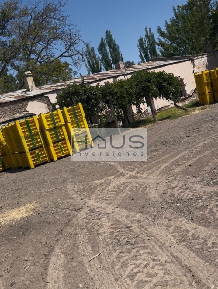 Venta de Chacra 12 hectareas, Cinco Esquinas, Cipolletti, Rio Negro
