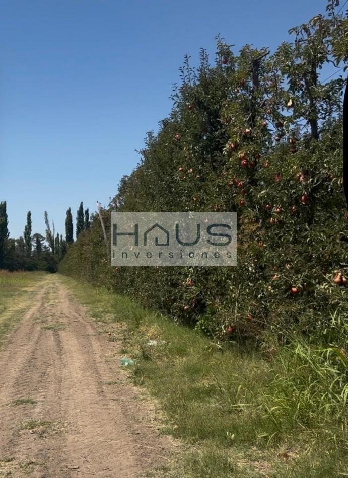 Venta de Chacra 12 hectareas, Cinco Esquinas, Cipolletti, Rio Negro